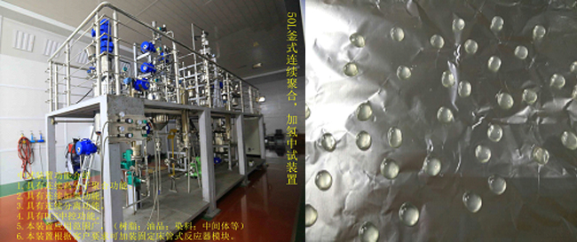 祝賀國(guó)內(nèi)首套釜式連續(xù)加氫中試成套裝置一次出料成功！.jpg